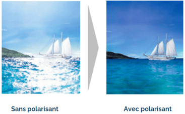 Teinte polarisée-1